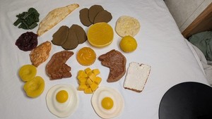 Fake Food Replica Lot 17 pieces Realistic Nutritional Display Items NASCO 1960s