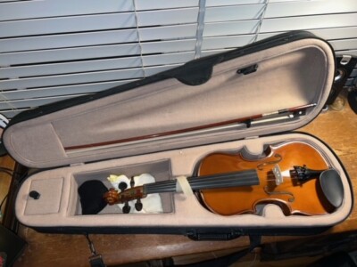 Palatino_VN-450_Violin_w/ Original Hard Case & Bow_Resin + More_cHECK iT_