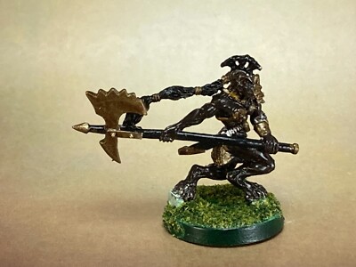WOTC Painted TIEFLING FIGHTER #2 Chainmail metal Pathfinder Frostgrave D&D  Z26