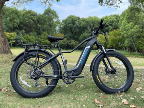Fat Tyre Ebike Electric Bike Bicycle 48V 20AH Lithium TDL6152 Throttle PAS