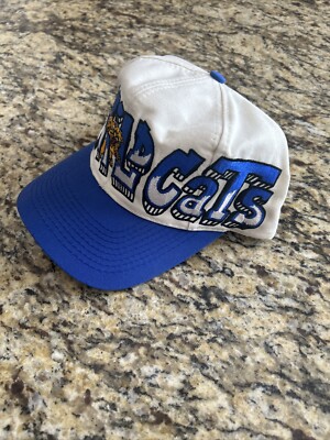 VINTAGE 90'S DREW PEARSON SNAPBACK HAT KENTUCKY WILDCATS TOW