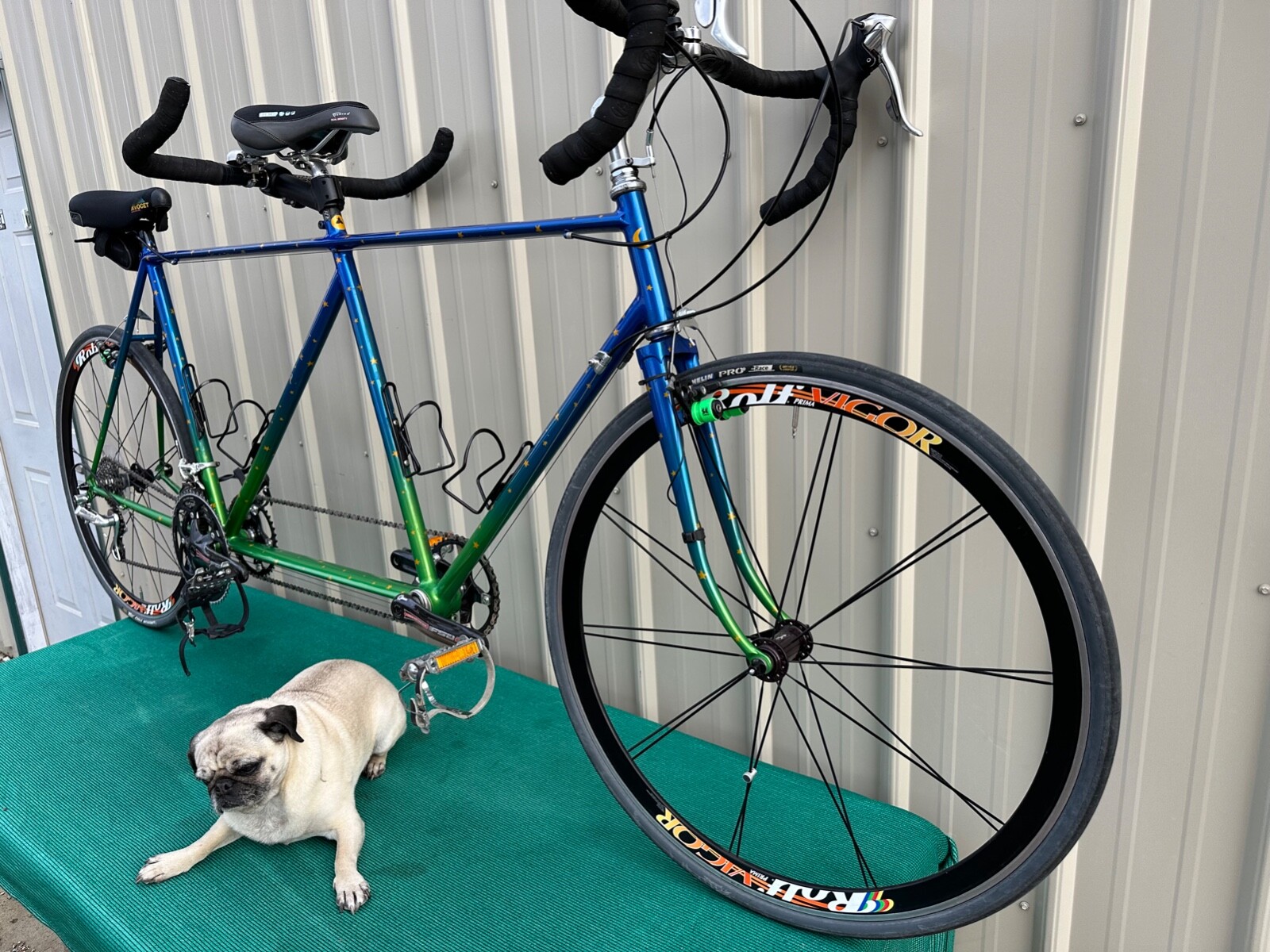 Rodriguez Custom Built Tandem Bike Captain 60cm Stoker 59cm Dura Ace 27