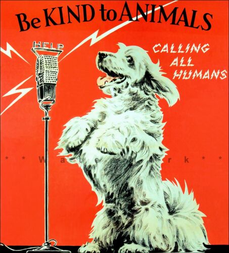 Be Kind To Animals 1930 Calling All Humans Vintage Poster Print Retro Style  Art | eBay