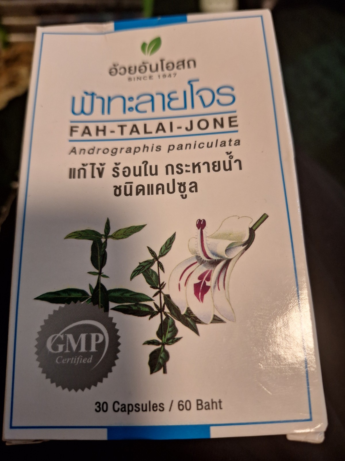 Andrographis paniculata Thai Nahrungsergänzung Fah Talai Jone Kapseln 30er Pack