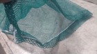 Brand Name GT245125 36 Pk 45 Lb Weight Capacity Green Polyester Laundry Bag — photo 4