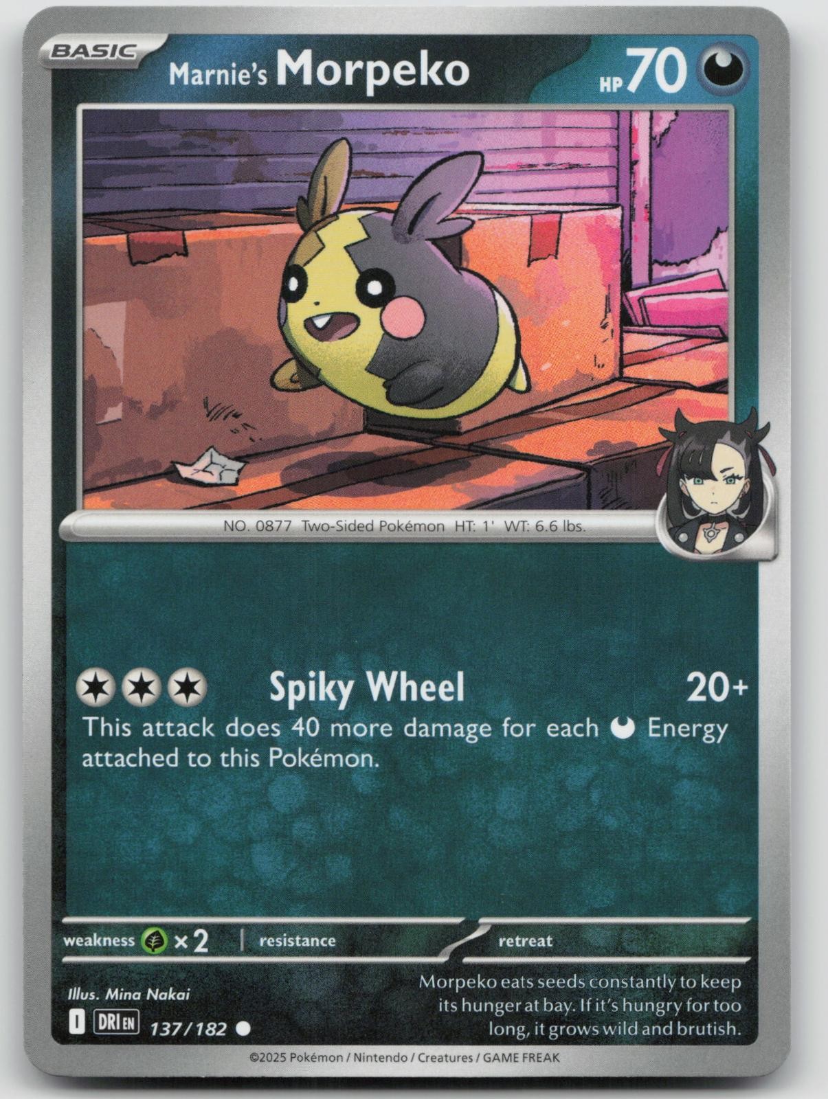 Marnie's Morpeko 137/182 Destined Rivals Pokemon NM Common