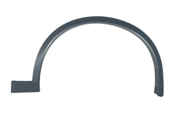 Right Front BLIC 5703-08-0093376P Trim/Protection Strip, wing for BMW