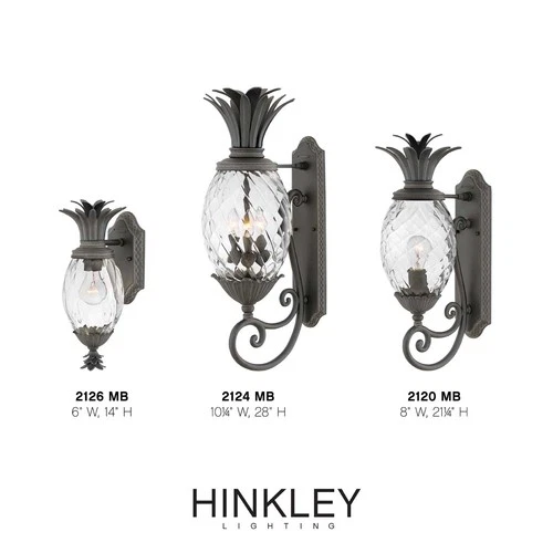 Hinkley Lighting 2126 Black Plantation Single Light 14"H Outdoor Wall Sconce - Picture 2 of 5