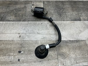 POLARIS 0450753 OEM IGNITION COIL ASSY SCRAMBLER PREDATOR 50/90 SPORTSMAN 90