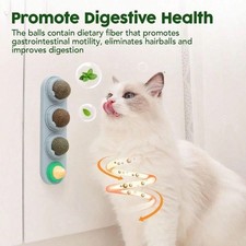 Catnip Balls 100 Natural 4 Flavor Dental Care Teeth Cleaning Anti-Stress Toys