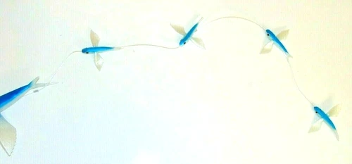 Daisy Chain Flying Fish Big Game Fishing Teaser Lure Mahi ONO Tuna Marlin Dorado