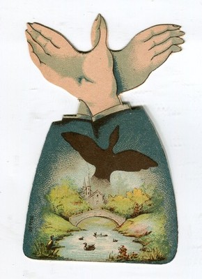 Glanzbilder Oblaten scraps Litho Karte Schattenspiele Vogel 10,8 cm