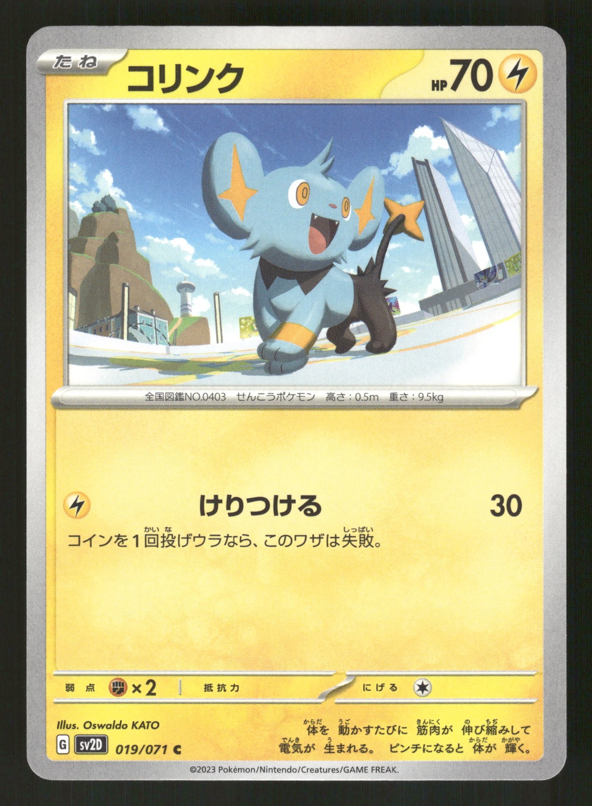 Shinx 019/071 Common,Japanese Pokemon SV2D: Clay Burst