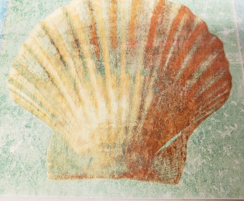 3 Same Reversible Plastic Placemats (12"x18") SEALIFE, SEASHELL, STARFISH, CA - Picture 11 of 12