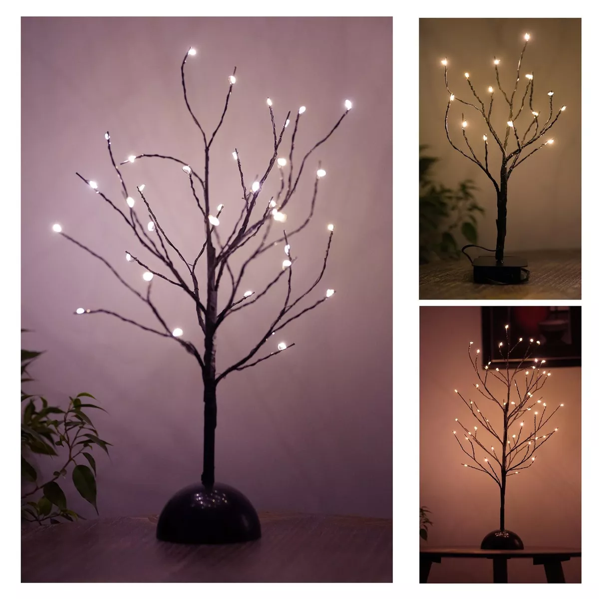 Tree lamp light outlet