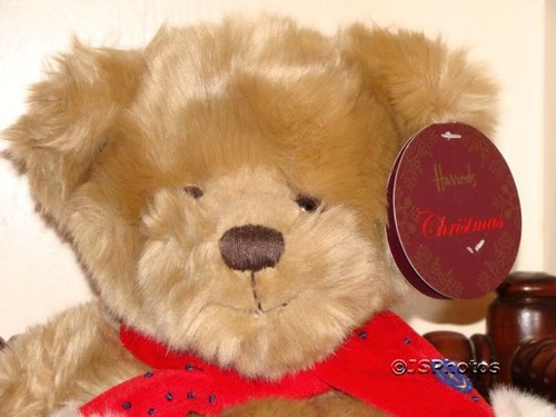 Harrods Christmas Bear Backpack 2007 Gift Box Rare - Picture 2 of 12