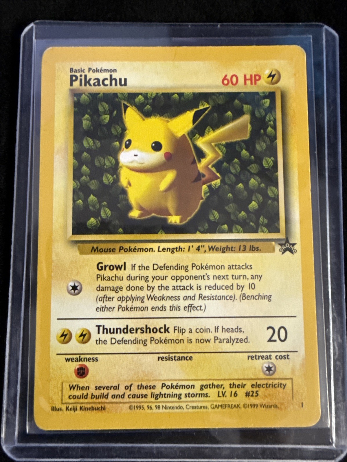 Pokémon TCG Pikachu Wizards Black Star Promos Regular Rare