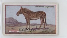 1921 Gallaher Animals & Birds of Commercial Value Tobacco Zebra #5 0l4h