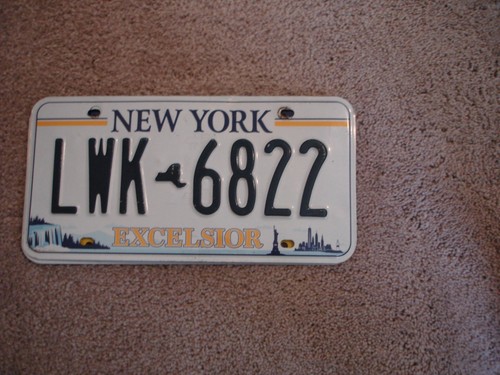 NEW YORK (CRAFT) EXCLSIOR # LICENSE PLATE BUY ALL STATES HERE FREE SHIPPING