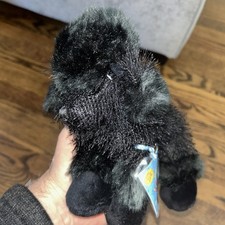 Webkinz Black Poodle Plush HM191 New With Tag Unsealed Unused Code Virtual World