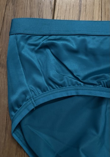 Plus 14/16 Lane Bryant Cacique No Show Hipster Nylon Faux Satin Silk Teal Aqua - Picture 3 of 5