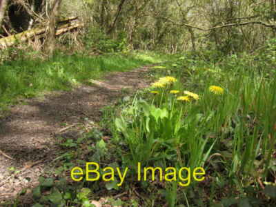 Photo 6x4 Llwybr bach.  The narrow path. Pontlliw Un o'r nifer o lwy c2007