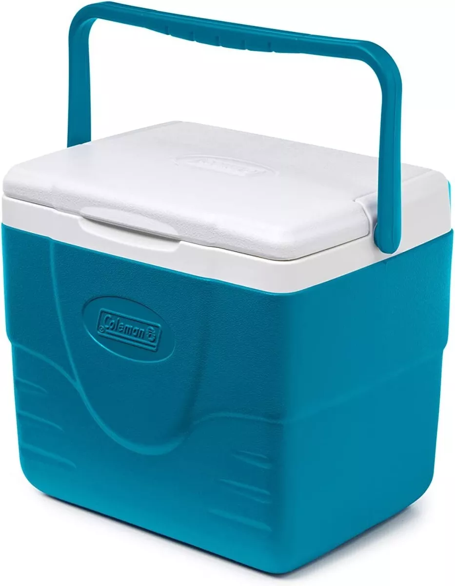 Ice cooler store lunch box