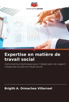 Brigith A. Ormachea Villarroel | Expertise En MatièRe De Travail Social | Buch