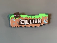 Minecraft Themed Bedroom Door Name Plaque / Sign - Personalised