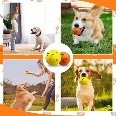 Anti-obesity Dog Ball Easy Pick-up Durable Toys for Chewers Anxiety 2-Pack