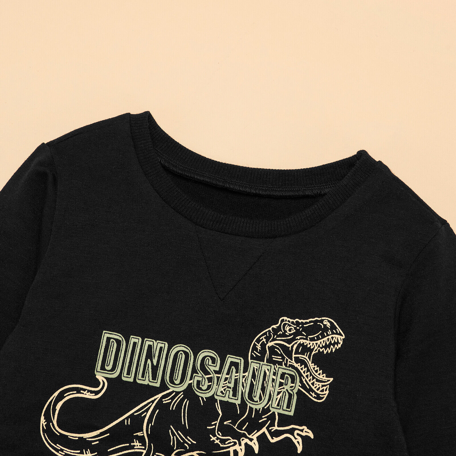 Toddler Baby Boys Clothes Dinosaur Tracksuit Tops Trouser Long Sleeve