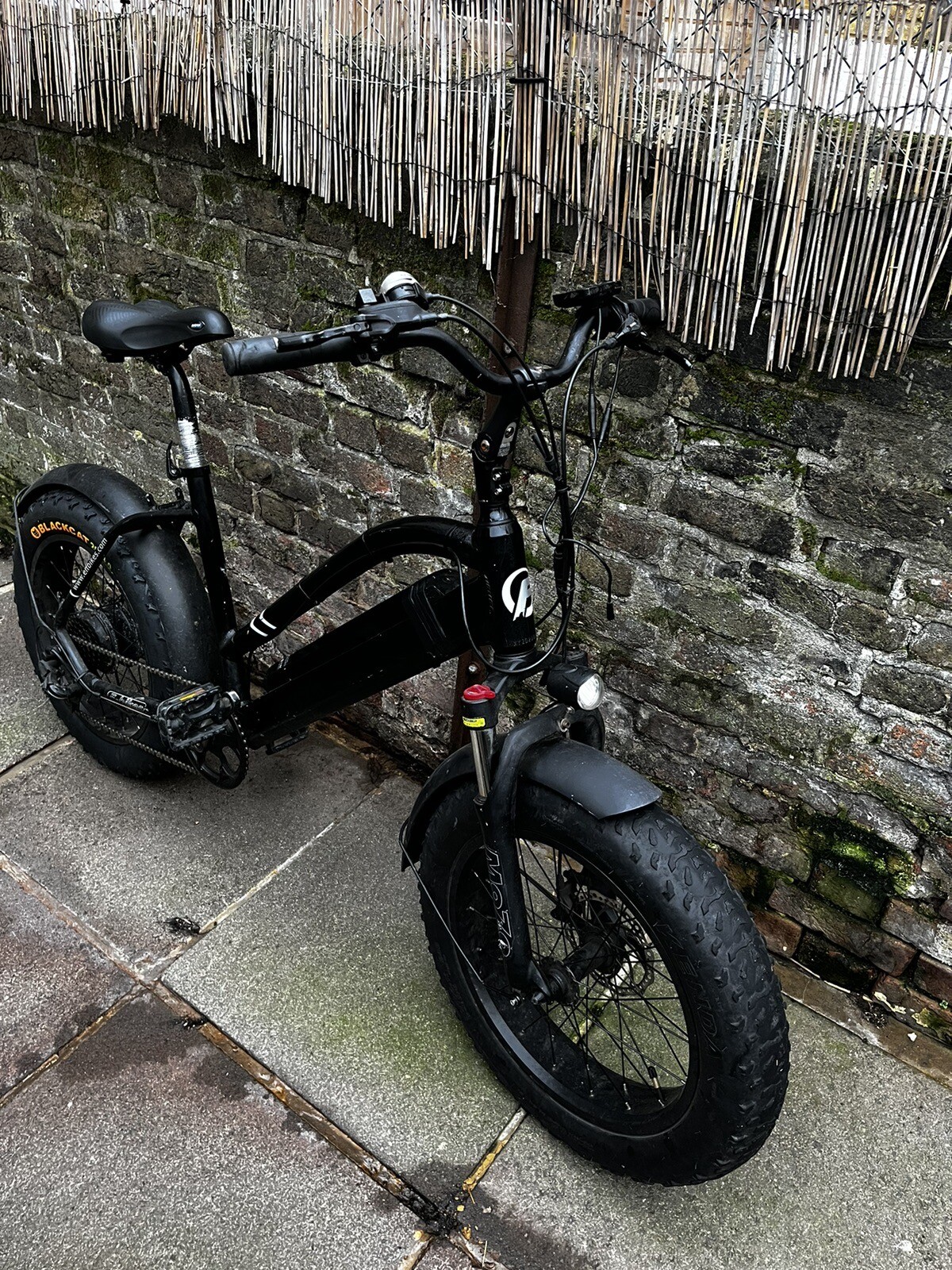 electric bike eBay