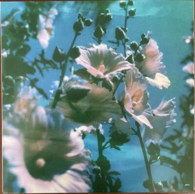 Lana del Rey, 1st Ed. Ltd. GREEN Vinyl, Tunnel Under Ocean Boulevard