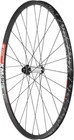 DT Swiss  350/XM421 Front Wheel - 29", 15 x 110mm, Center Lock, Black