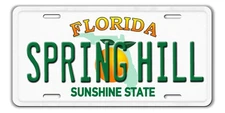 SPRING HILL Florida City Orange Vanity Novelty Aluminum License Plate New