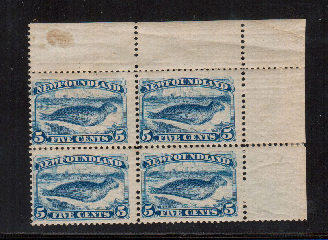 Newfoundland #55 Mint Fine Never Hinged Corner Block | eBay
