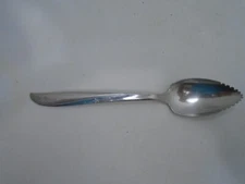 Oneida Community Stainless Twin Star Citrus/Grapefruit Spoon