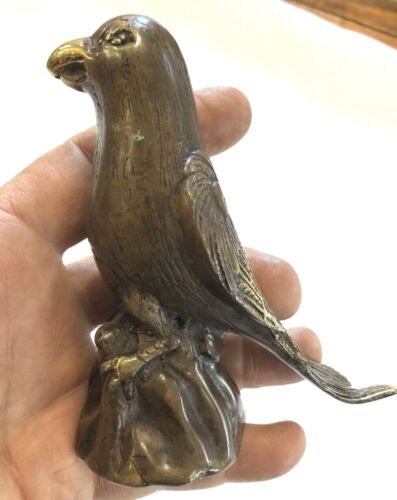 Statua 5" Parrot Song Bird Figure 100% grado A bronzo superba patina - Foto 1 di 5