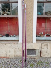 Mast  Windsurfen
