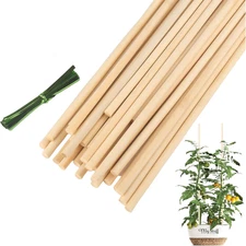 20 Pcs 18 Inch Natural Bamboo Plant Support Stakes for Indoor Plants, Bamboo Sti