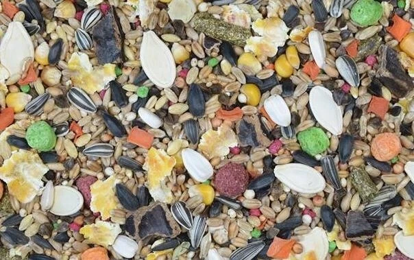 10kg Nagerfutter Meerschweinchenfutter Zwergkaninchenfutter Hamsterfutter Nager - Bild 2 von 4