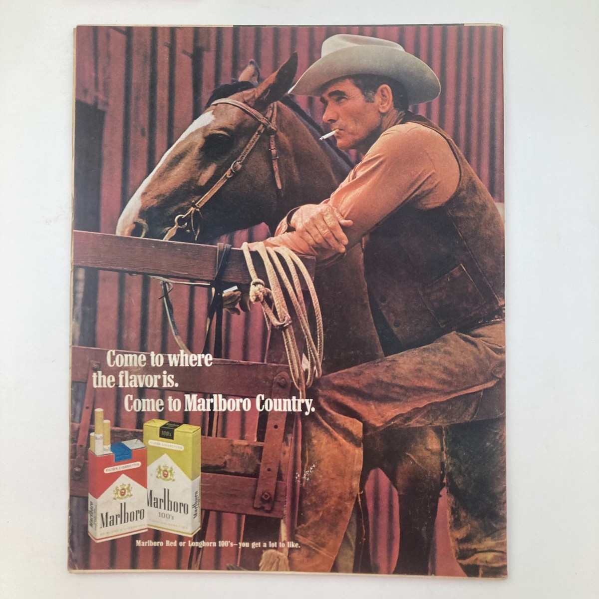 VTG Life Magazine November 13 1970 Vol 69 No. 20 Papillion