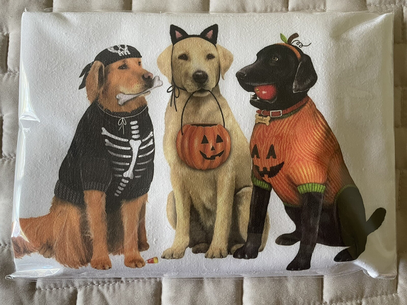 Halloween Trick Or Treating Dogs