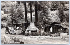 Postcard RPPC CA Miranda California Forest Of Arden Resort Heart Of Redwoods P9A