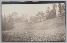 Postcard: Field of flowers and hillsides. RPPC