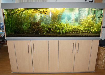 Hochwertige Brillant Aquariumkombination + Beleuchtung + Eheim 600 T,  600 L b