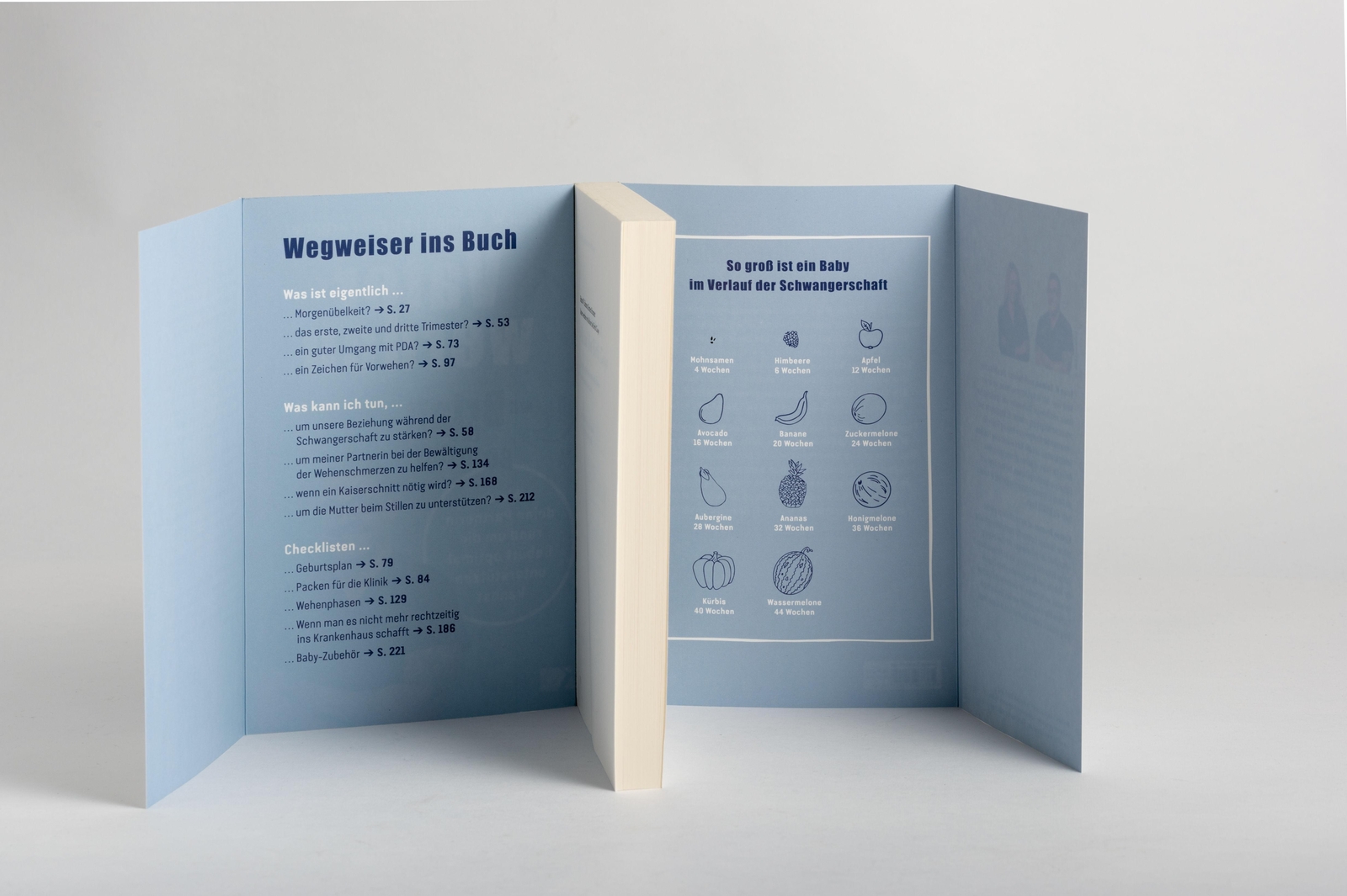 Thumbnail - Vater Werden Mit »brian The Birth Guy« Brian W. Salmon (u. A.)