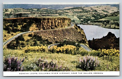 Oregon Dales Rowena Loops Columbia River Postcard, L17