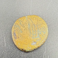 * Amisos - Zeit des Mithradates VI. * Pontos 1. Jh. v. Chr. AE20 SP1875