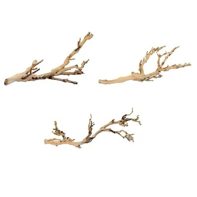 Exo Terra Forest Branch Reptile Lizard Vivarium Natural Decor 30cm 45cm 60cm